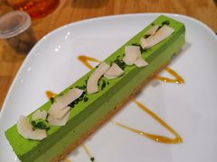 -柴务处·柴犬主题狗咖