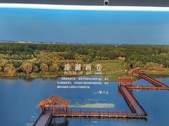 -溱湖国家湿地公园