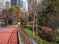 -上海港国际客运中心1号游艇码头