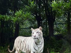 -乐和乐都主题乐园