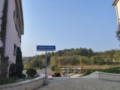 -大塘金香草谷