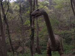 -木兰云雾山