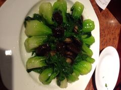 香菇菜心-功德林(南京西路店)