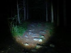 -秦岭风景区