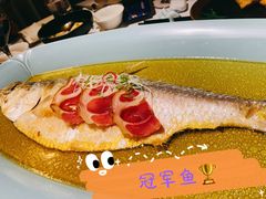 清蒸鲥鱼-夜上海(新天地店)