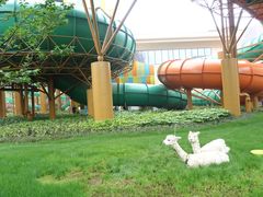 -杭州开元森泊度假乐园