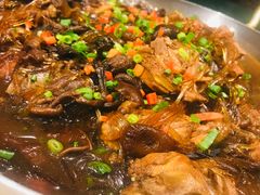 -老江南春·中国龙菜(衡山路店)