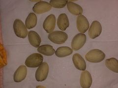 -杨氏青龙虾·羊蝎子(金盛路总店)