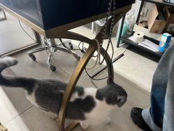 -ChuLian初莲日式美甲美睫