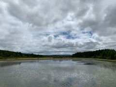 -塞罕坝国家级自然保护区