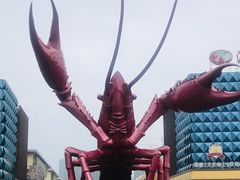 -小李子油焖大虾(天下城旗舰店)