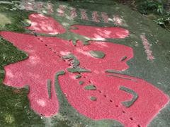 -福清灵石山国家森林公园