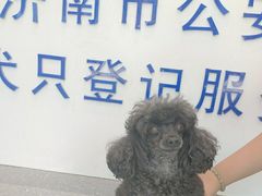 -心仪动物医院·牙专科·肿瘤·心脏科(西客站院)