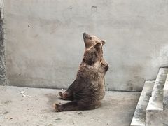 -保定市动物园