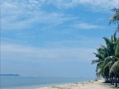 -沿江海南菜·文昌鸡祖师爷(大东海店)