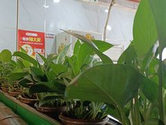 -德顺斋爆肚涮肉馆·烧烤·羊蝎子·清真炒菜(马驹桥店)