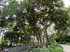 -成都市活水公园