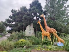 -西安秦岭野生动物园