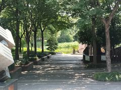 -陈家山荷花公园
