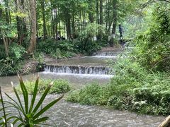 -桤木河湿地公园