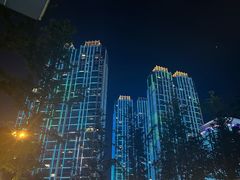 -黑色经典臭豆腐·湖南特产(太平街口店)