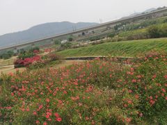 -光明小镇欢乐田园