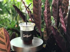 -Seesaw Coffee(朝阳大悦城店)