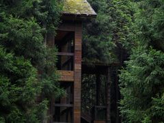 -武陵山森林公园
