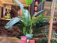 -单家老院·院子里的青岛菜(沙子口店)
