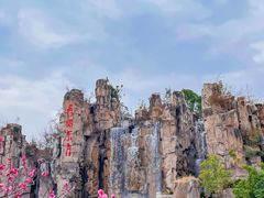-秀丽东方