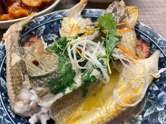 -天鹅到家·保姆月嫂育儿嫂(总店)