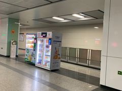 -宋家庄(地铁站)