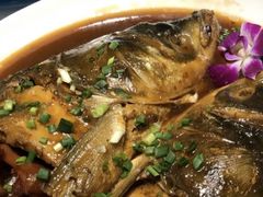 -梁溪河畔·吉府花园(南长街南下塘店)