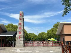 -中国扬子鳄村
