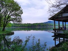 -茅家埠