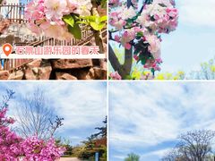 -北京石景山游乐园