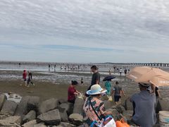 -南汇嘴观海公园