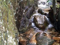 -牛鱼嘴原始生态风景区