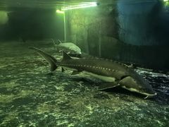 -泉州海丝野生动物世界