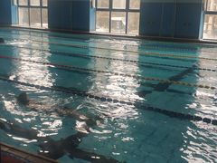 泳池-地坛游泳馆