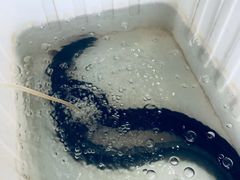 -呼吸森林·生态农庄农家乐私房菜