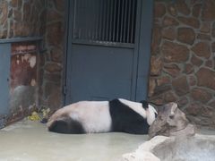 -无锡动物园·太湖欢乐园