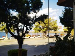 -野菌皇海景野生菌火锅(滨海大道店)