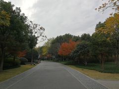 -杭州城北体育公园