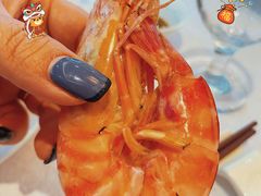 -欢乐海岸美食联盟