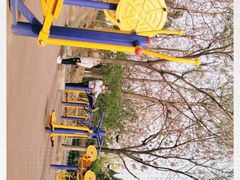 -大兴滨河森林公园