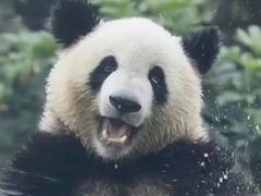 -混果汁(前海嘉里中心店)