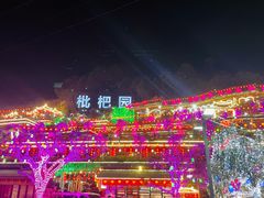 -枇杷园食为鲜火锅(南山店)