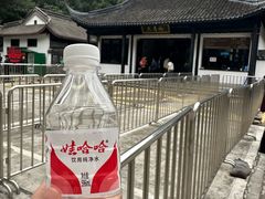 -上海佘山国家森林公园天马山园