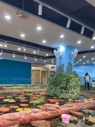 -钓虾工场·钓虾·赶海(回龙观店)